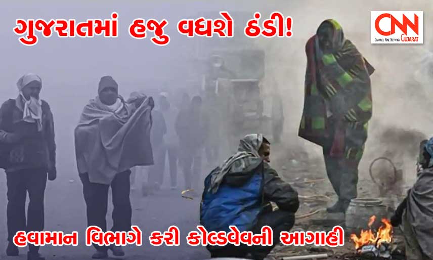 cold-wave-gujarat